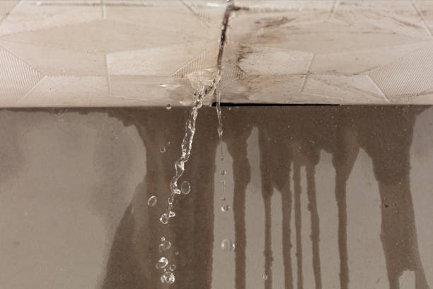 Professional Structural Drying technician working in Damascus, OR